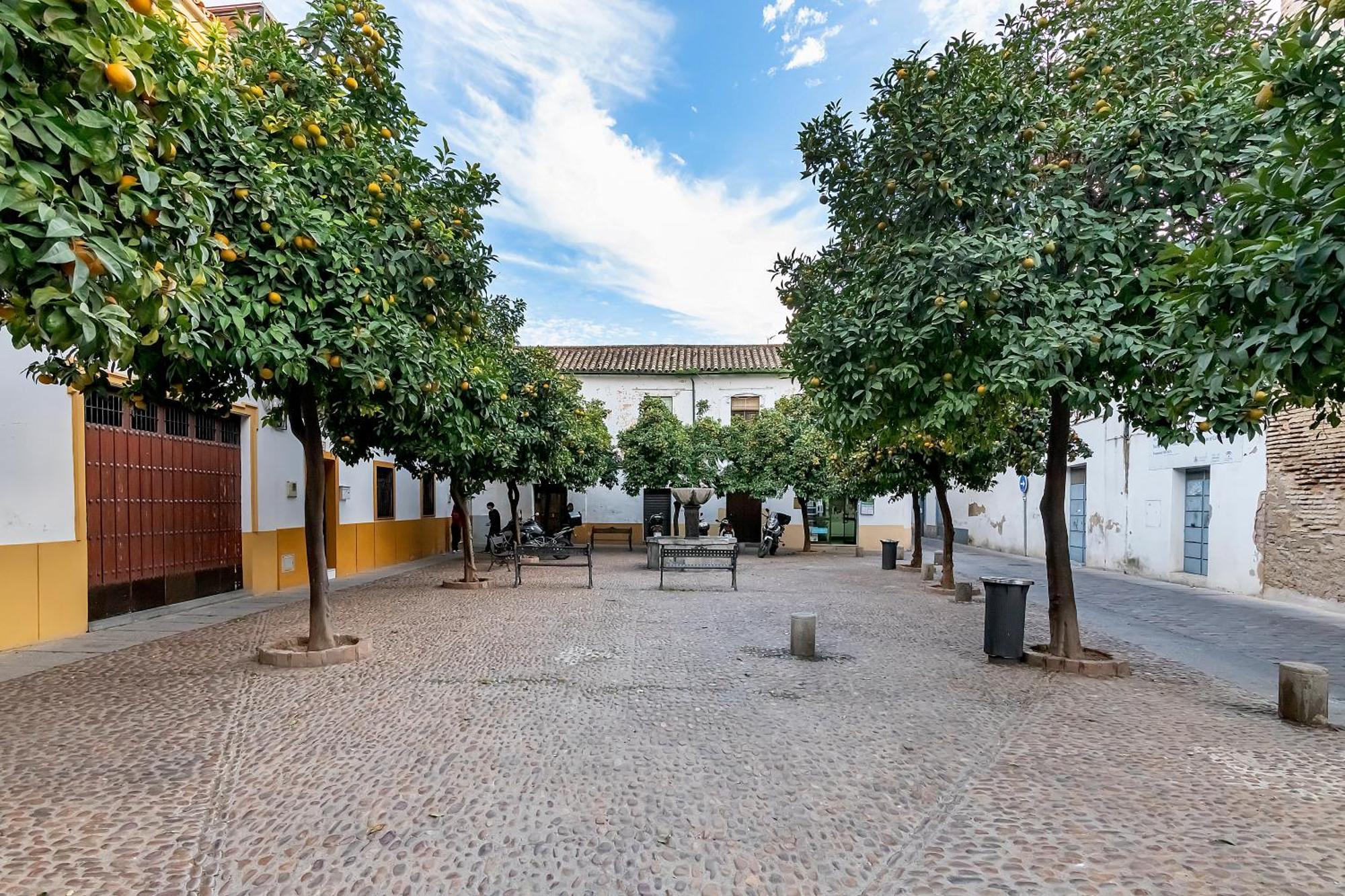Bhost - Regina VIII Daire Cordoba Dış mekan fotoğraf